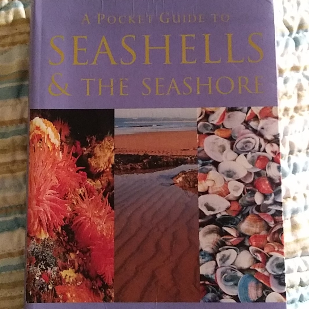 A POCKET GUIDE TO SEASHELLS & THE SEASHORE"   Patr